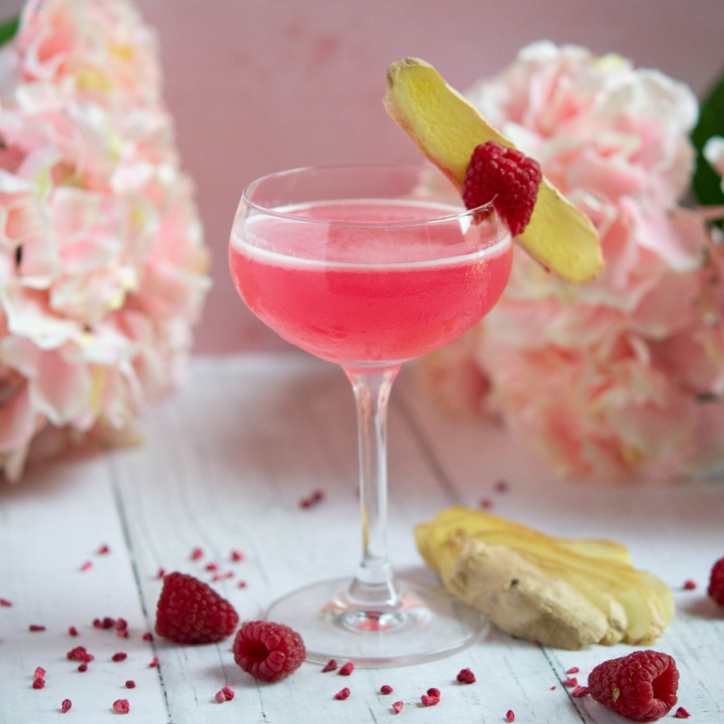 Raspberry and Ginger Gimlet IBC Simply