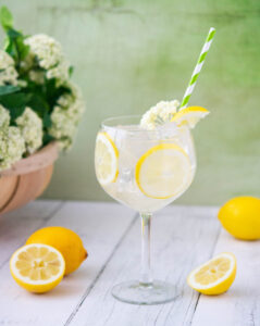 Elderflower Gin and Tonic